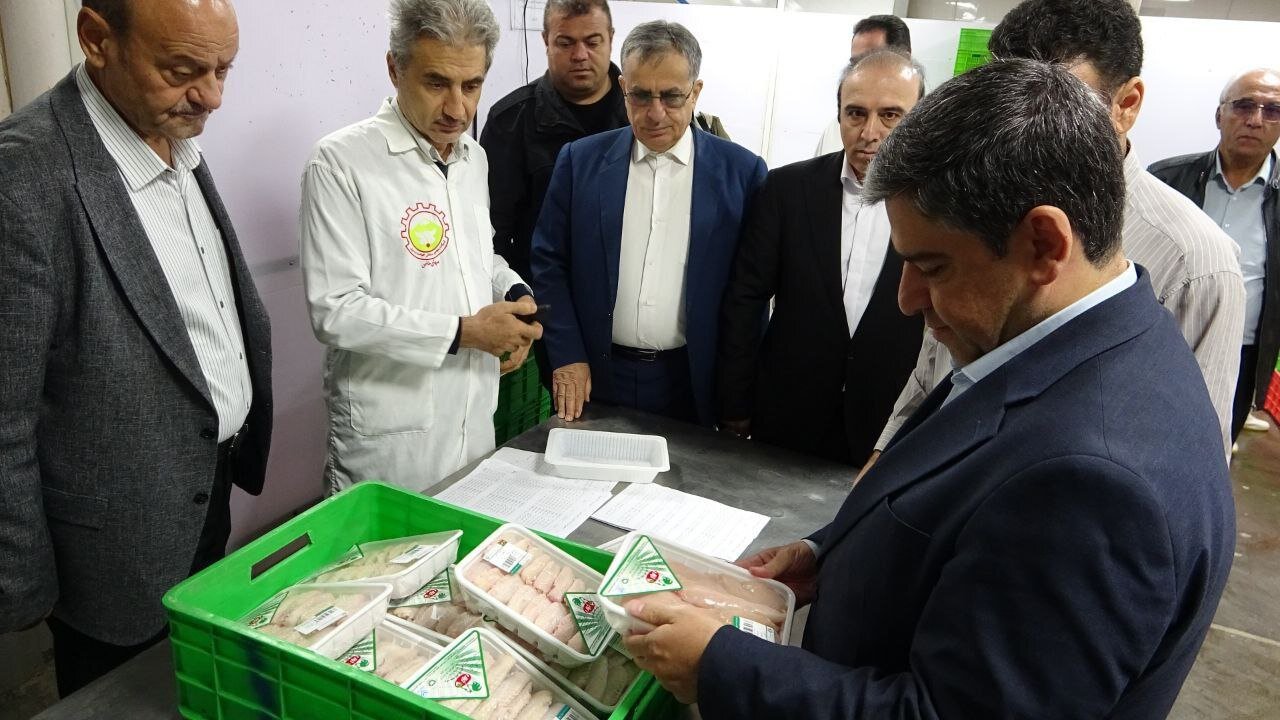 تکمیل زنجیره تولید در کشتارگاه اردبیل هدف‌گذاری شده است