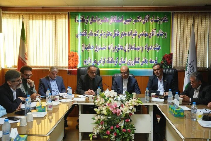 ۱۷۲ صندوق فعال کشور بیش از ۳۲ هزار میلیارد تومان تسهیلات پرداخت کرده‌اند