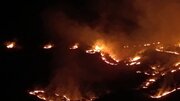 آتش‌سوزی مهیب در جنگل‌های ناودار / ستاد مدیریت بحران گیلانغرب درخواست کمک فوری کرد