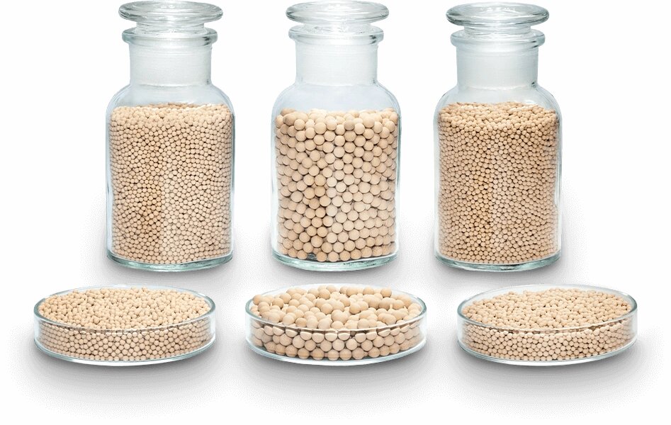 همه چیز درباره مولکولارسیو