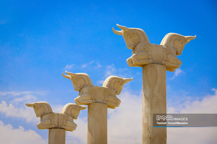 تصاویر مینی ورلد ملایر