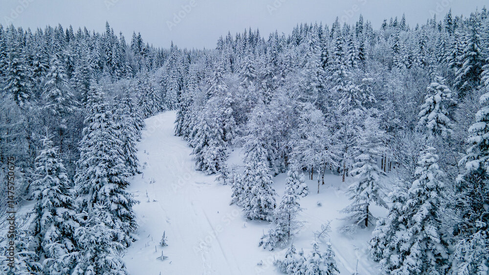 قطب شمال به منبع انتشار کربن تبدیل شد