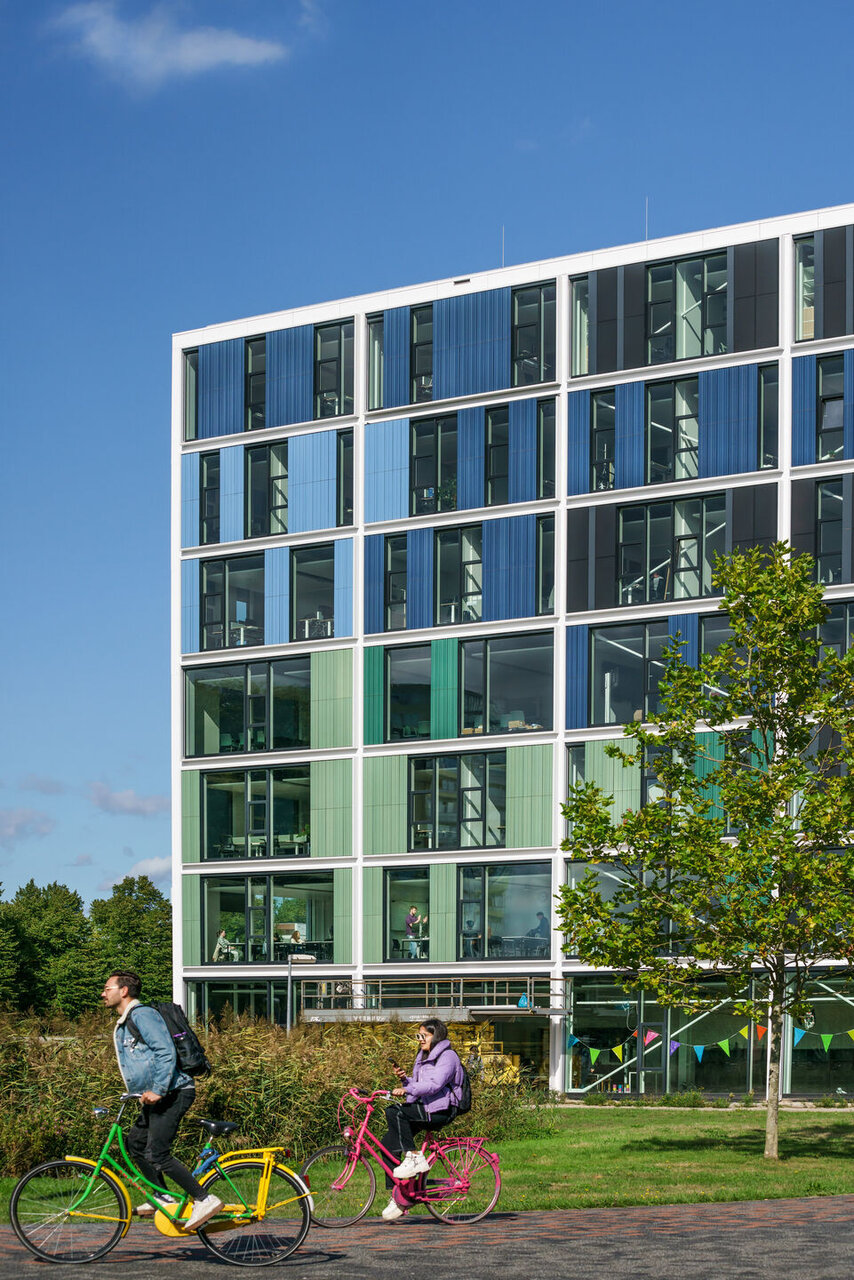 معماری؛ فراتر از زیبایی، محرک بهرهوری و پایداری