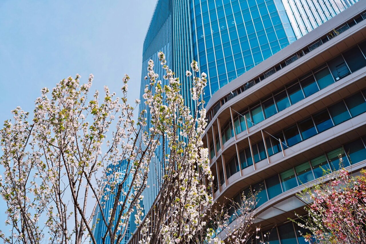 نقش فتوولتائیک شفاف در آینده انرژی ساختمانها