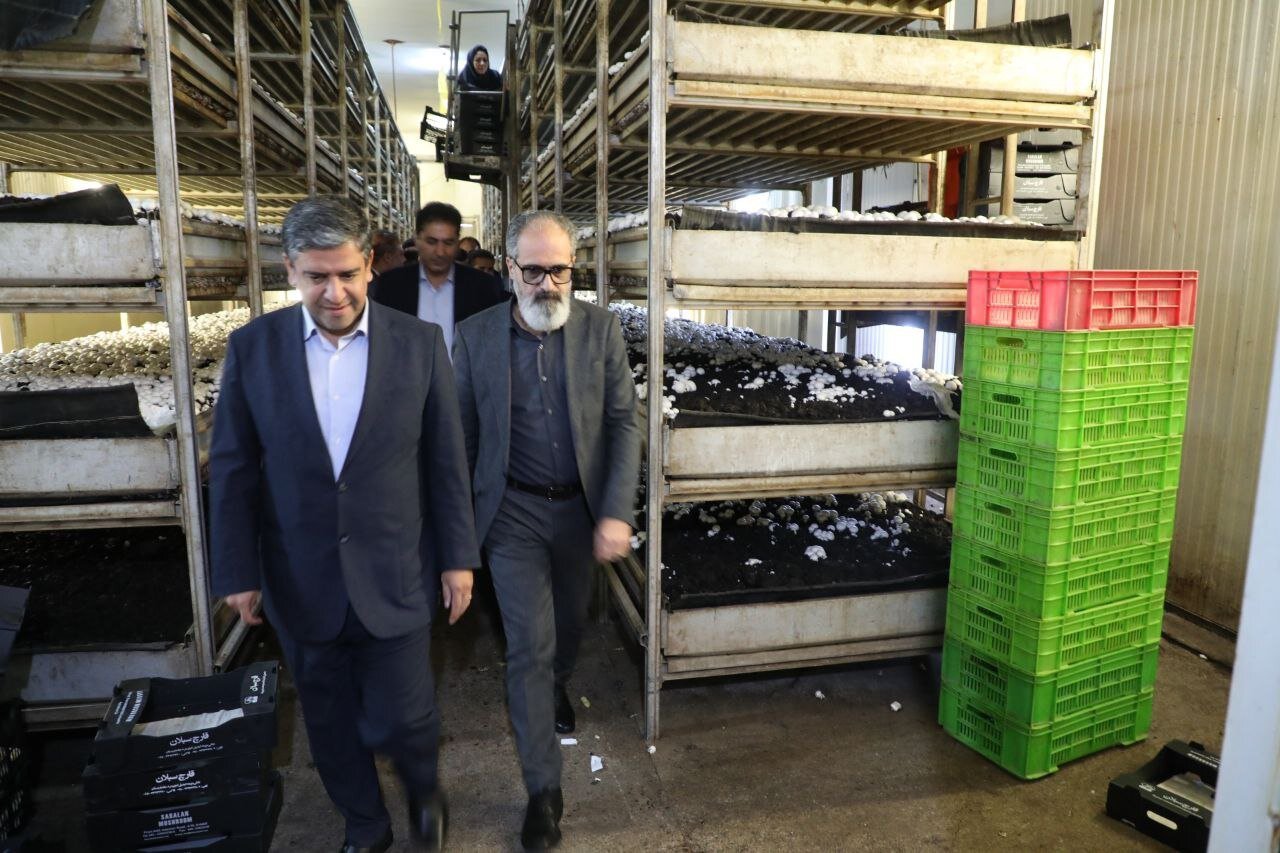 تزریق ۷۰۰۰ میلیارد تومان سرمایه به اقتصاد سرعین با محوریت سفر ریاستجمهوری