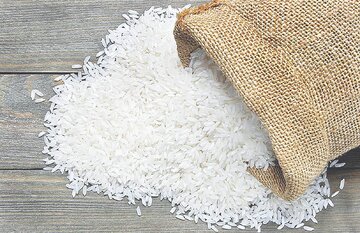 قیمت برنج در بازار آذر ۱۴۰۴ | جدول کامل نرخ برنج ایرانی و خارجی