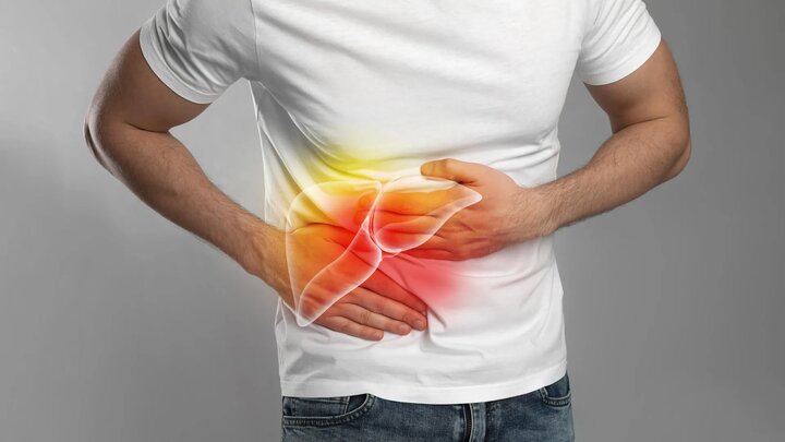 الکل، بازسازی کبد را برای همیشه متوقف می‌کند