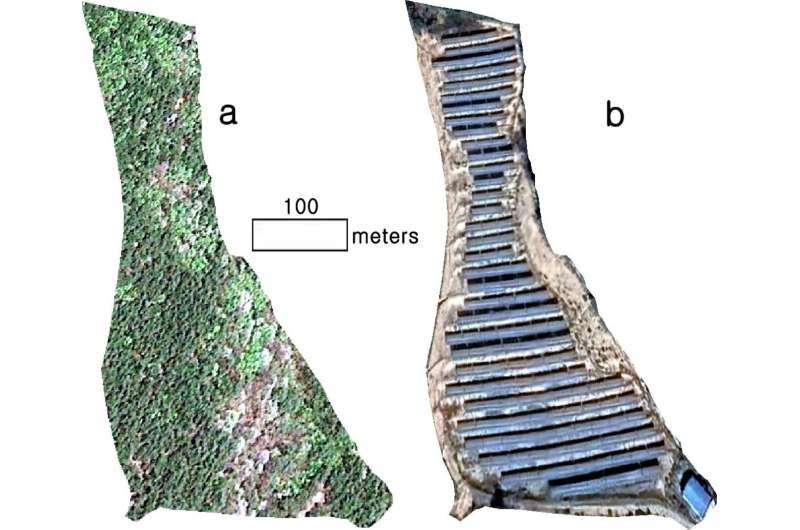درختان خورشیدی؛ راهکاری نوین برای تولید برق پاک در جنگلها