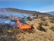 اطفای حریق در منطقه جنگلی دراکینگ الیت