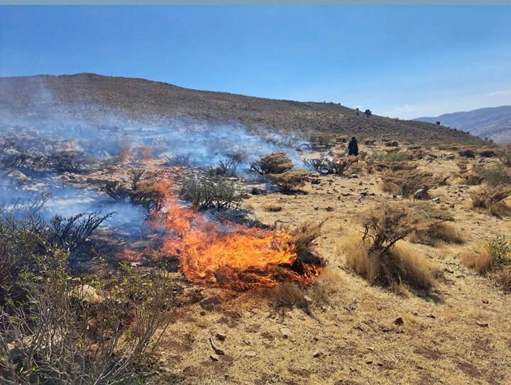 مهار آتش در منطقه حفاظت شده هلن