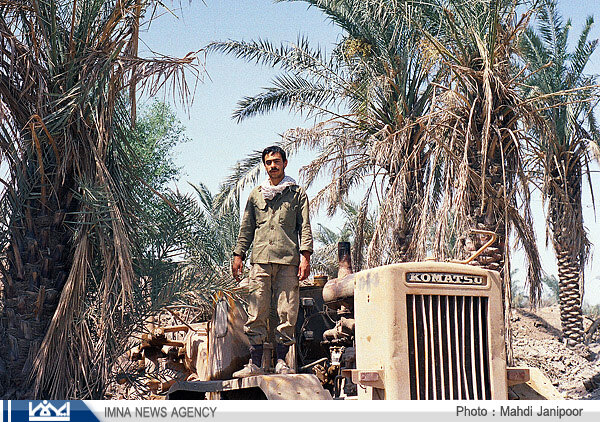 نخلهای ایستاده در خون