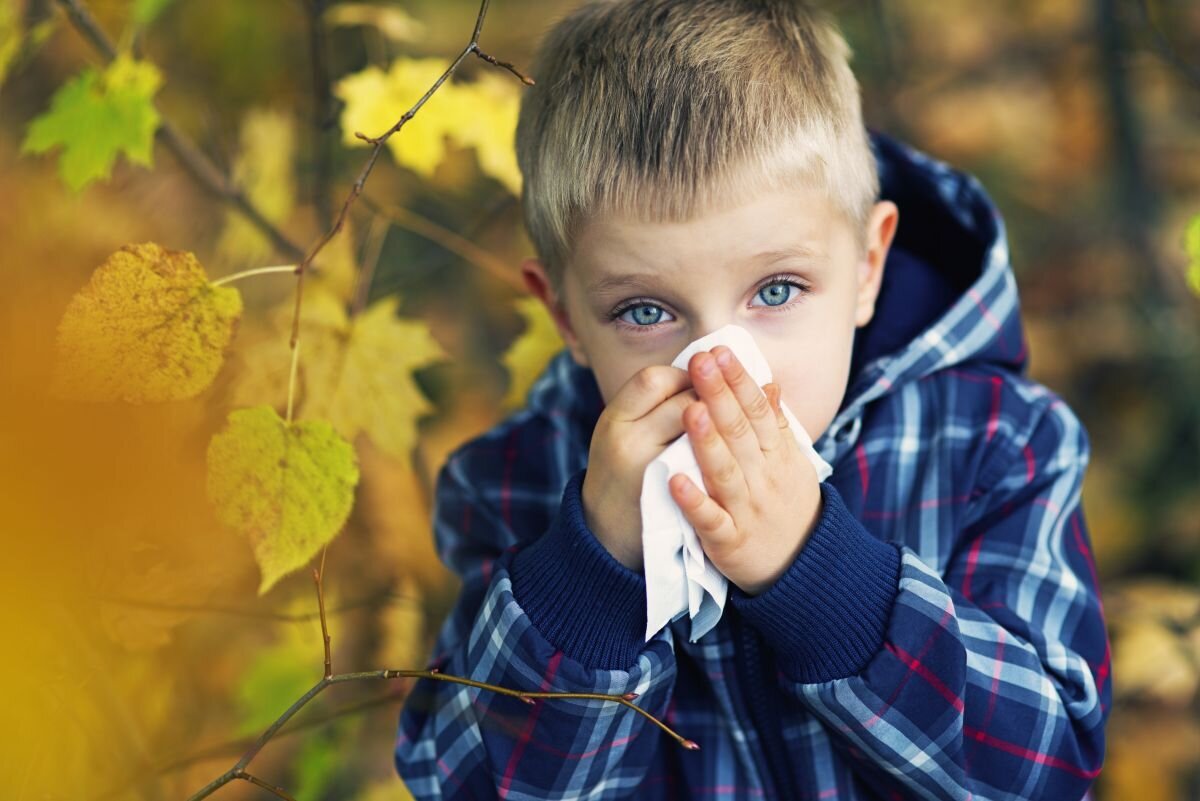 نسخه طب سنتی برای حساسیت پاییزی