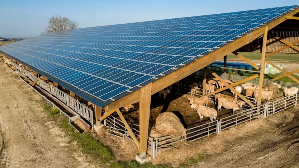 آینده روشن پیوند انرژی تجدیدپذیر و کشاورزی شهری با اگری‌ولتاییک‌