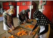 توانمندسازی ۲۲۰۰ نفر از مددجویان کمیته امداد امام خمینی (ره) استان ایلام