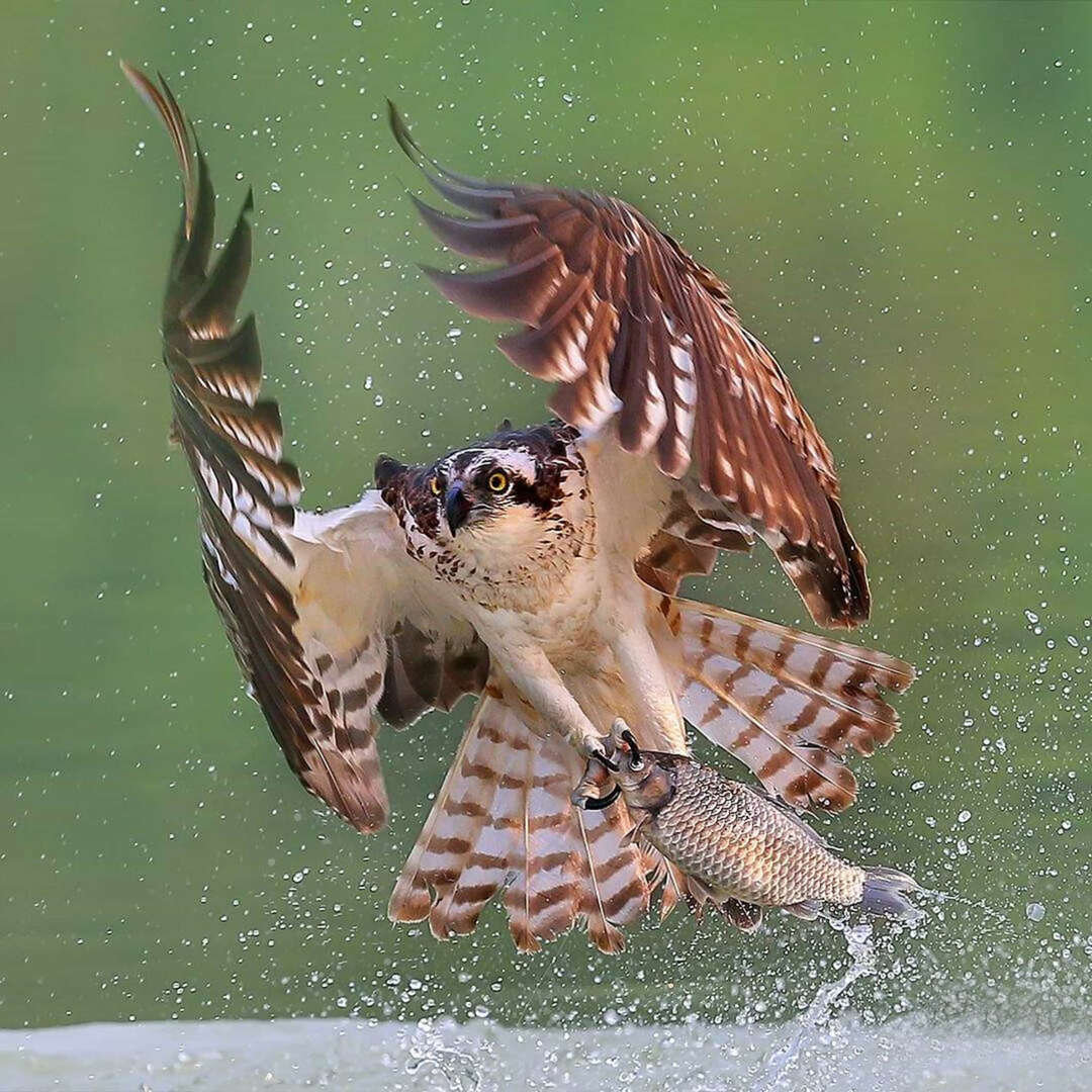 شگفتانگیزترین تالابهای جهان + تصاویر