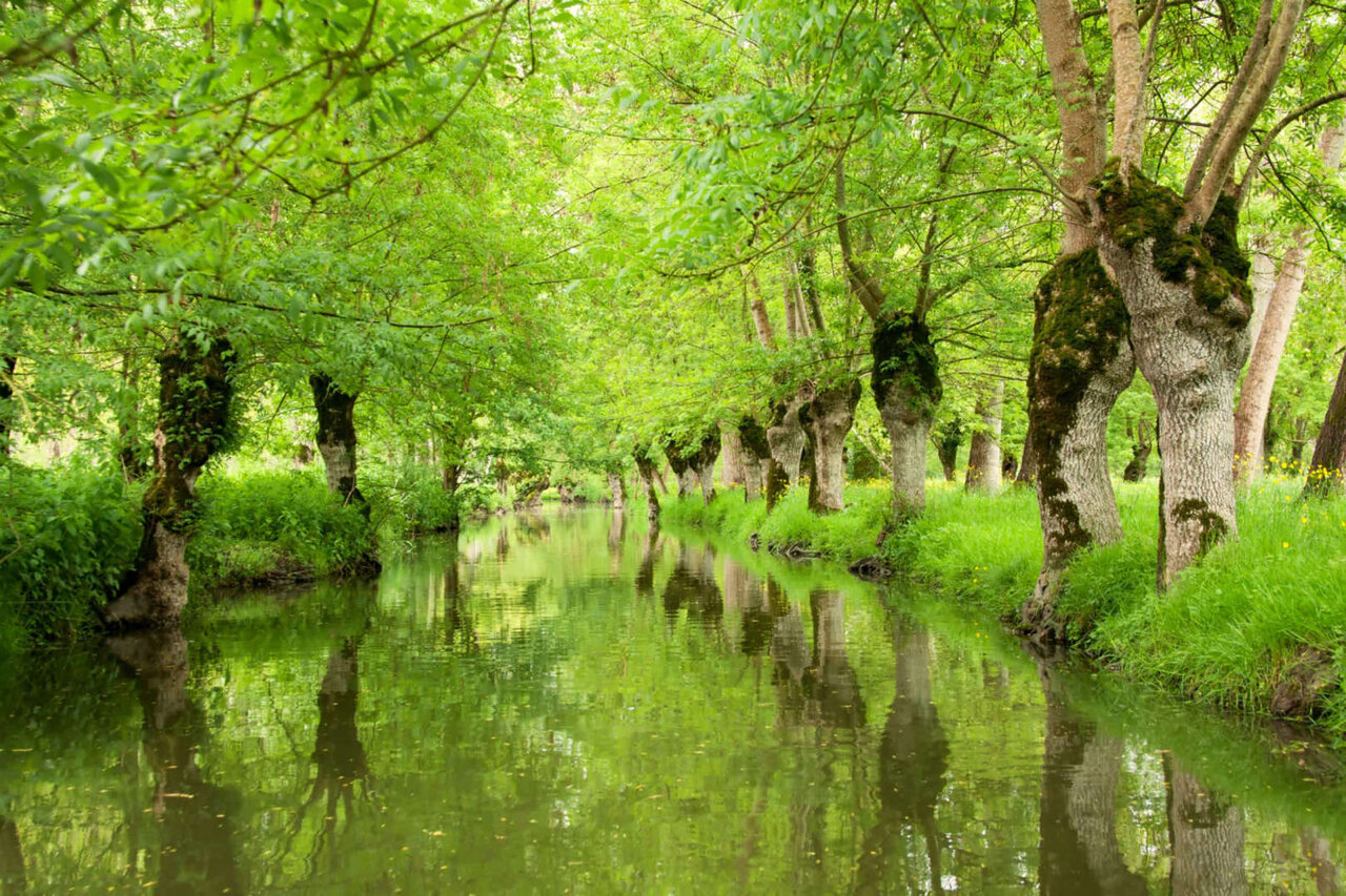 شگفتانگیزترین تالابهای جهان + تصاویر