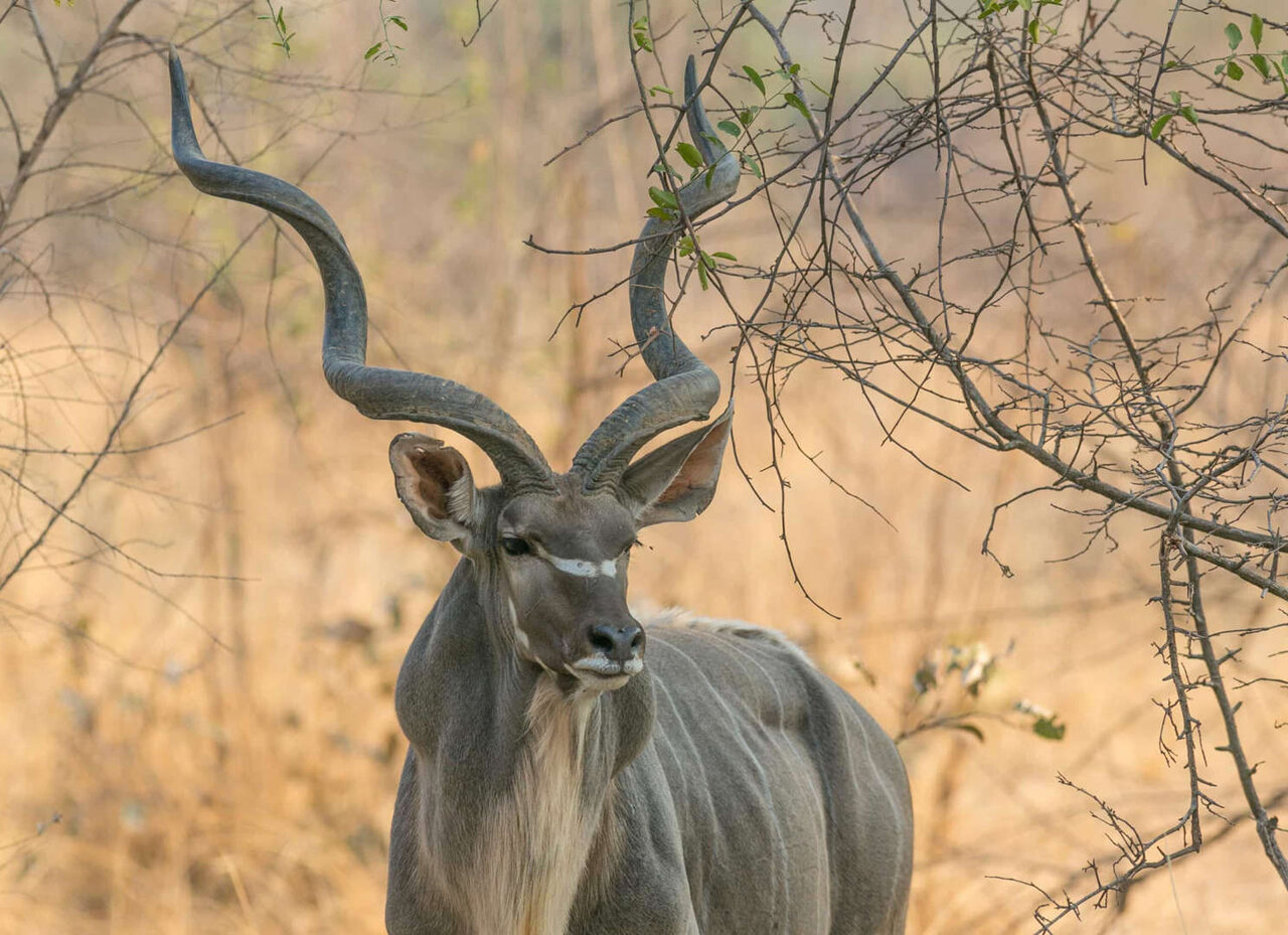 شگفتانگیزترین تالابهای جهان + تصاویر