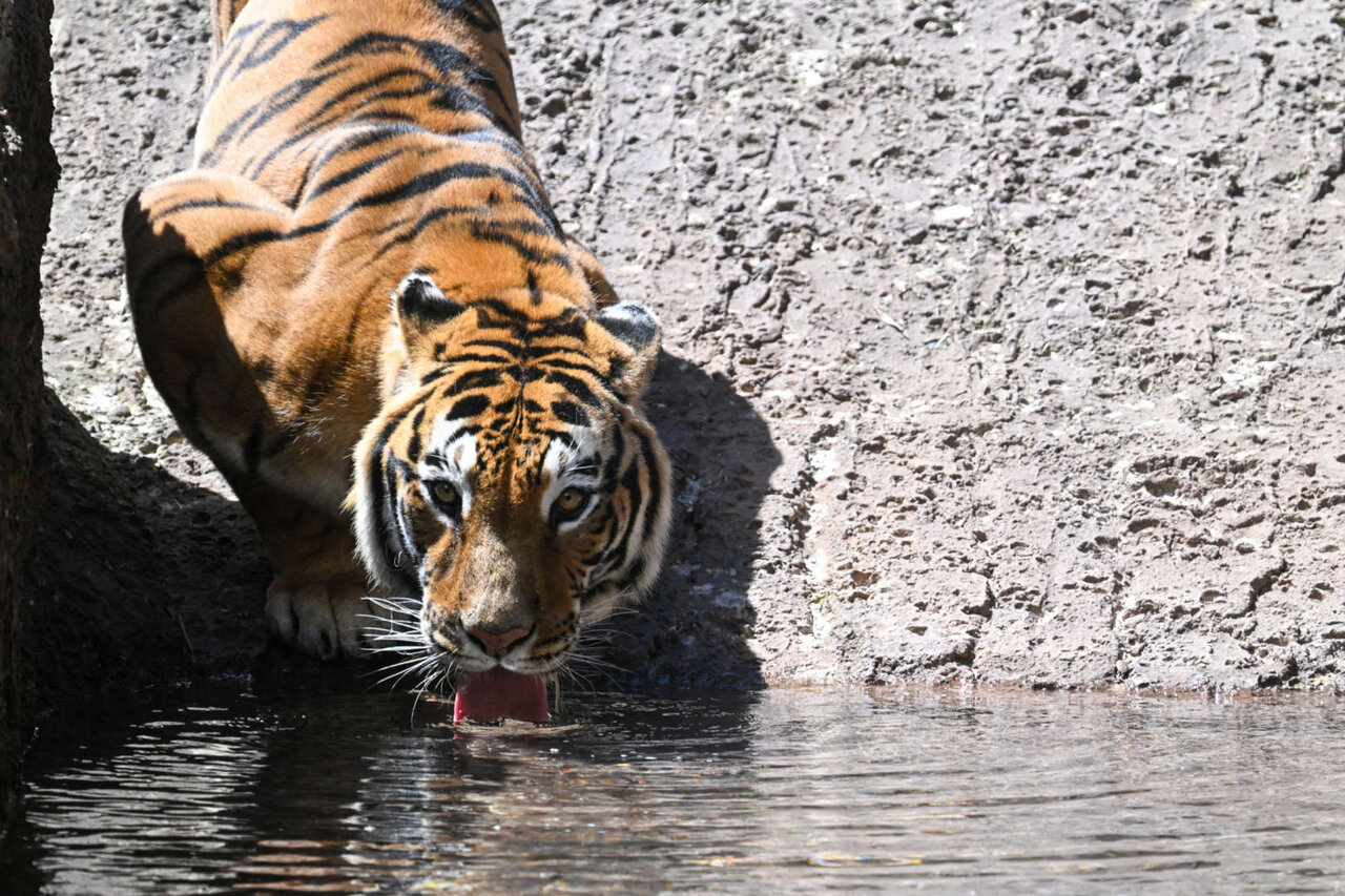 شگفتانگیزترین تالابهای جهان + تصاویر