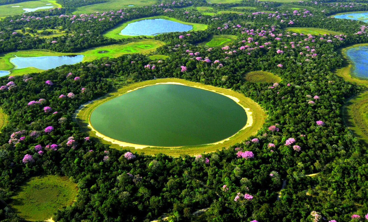 شگفتانگیزترین تالابهای جهان + تصاویر