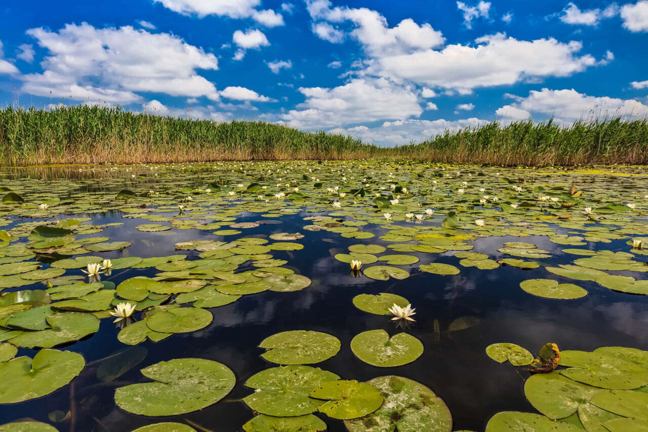 شگفتانگیزترین تالابهای جهان + تصاویر