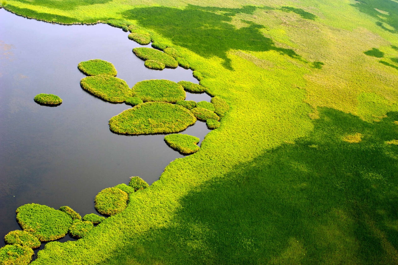 شگفتانگیزترین تالابهای جهان + تصاویر