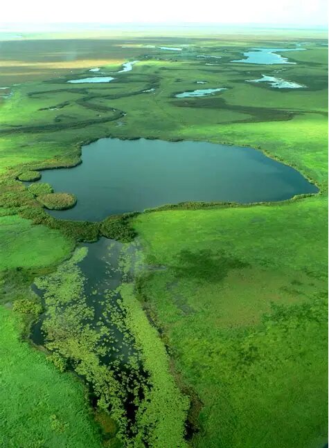 شگفتانگیزترین تالابهای جهان + تصاویر