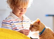 خطرات پنهان نگهداری از حیوانات در منزل