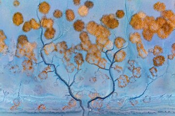 برگزیدگان جایزه عکس پهپاد 2025