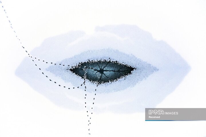 عکس‌های منتخب جایزه عکاسی پهپاد 2025