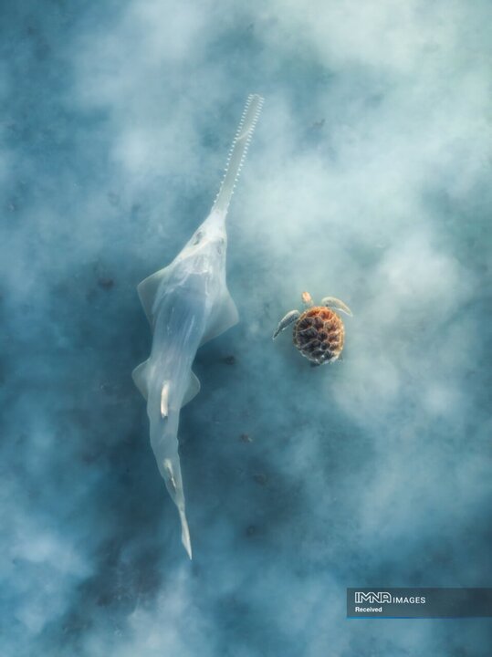 عکس‌های منتخب جایزه عکاسی پهپاد 2025