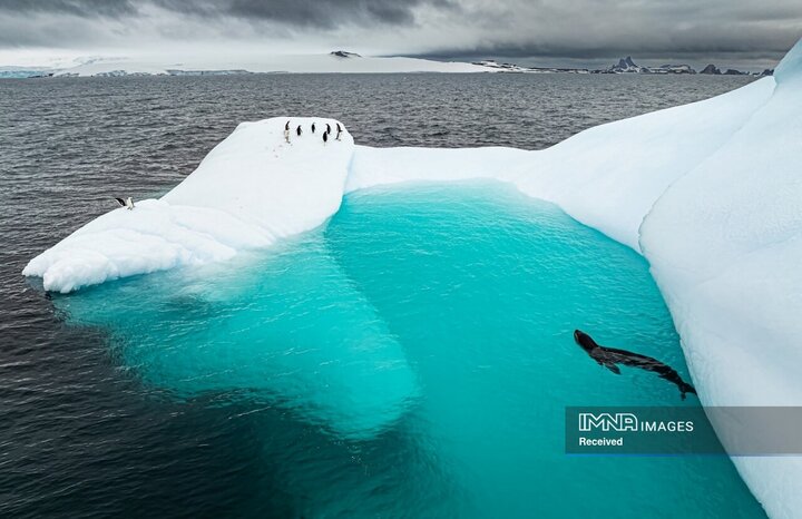 عکس‌های منتخب جایزه عکاسی پهپاد 2025