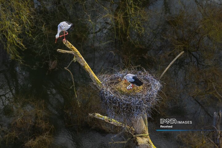 عکس‌های منتخب جایزه عکاسی پهپاد 2025