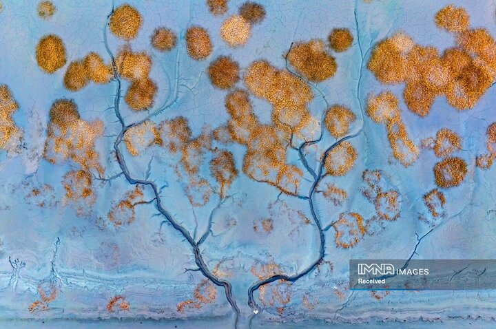 برگزیدگان جایزه عکس پهپاد 2025