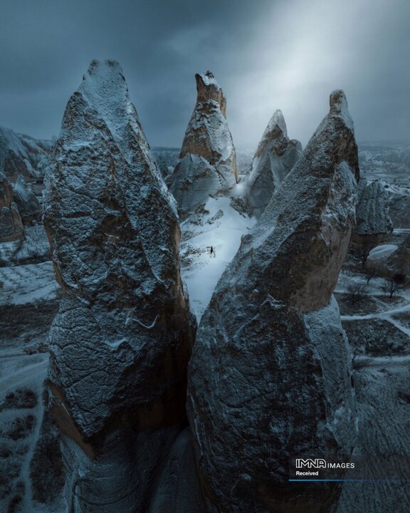 برنده عکس سال Dennis Schmelz