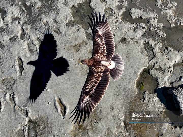 عکس‌های منتخب جایزه عکاسی پهپاد 2025