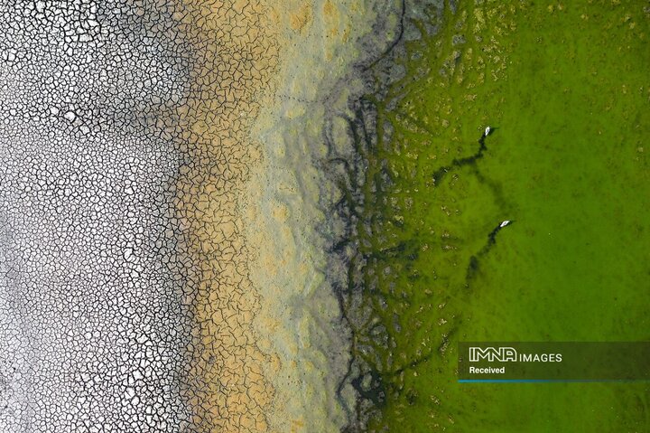 نمایی از یک دریاچه شور که در طول تابستان خشک و خشک‌تر می‌شود.