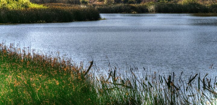 احیای تالاب‌های قزوین نیازمند عزم استانی و فراستانی است