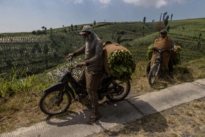 از ایران تا تایلند؛ رکوردداران جهانی موتورسیکلت