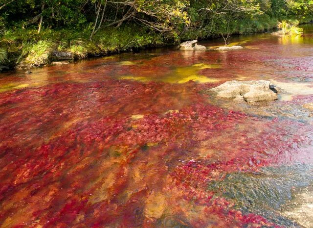 زیباترین رودخانههای جهان + تصاویر