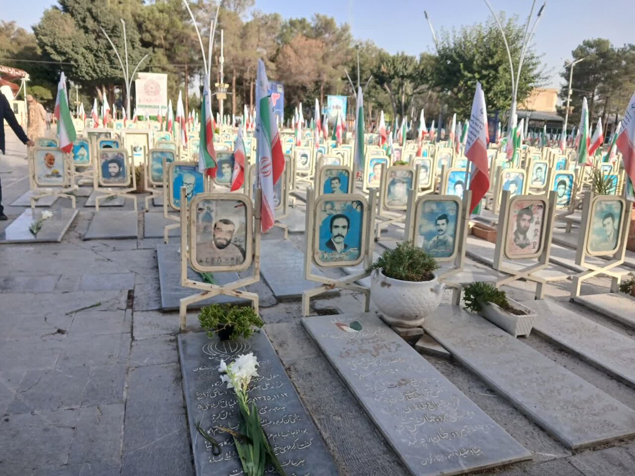 قدم در قطعهای از بهشت در دل شهر