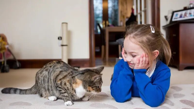 خطرات پنهان نگهداری از حیوانات در منزل