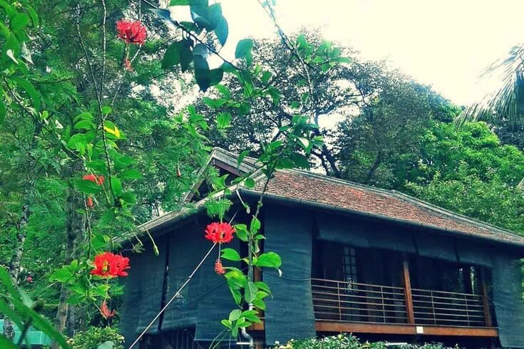 خانههایی که جنگ را روایت میکنند؛ فرصتی برای ایران در گردشگری مقاومت