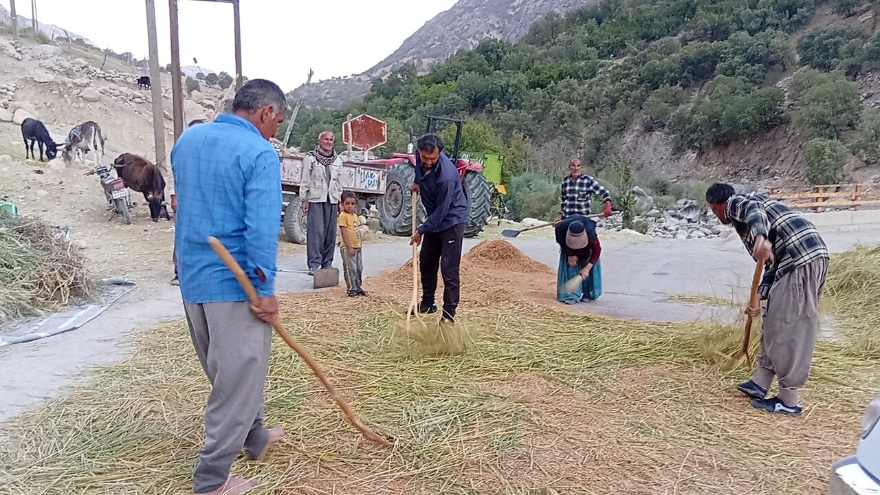 حرکت گروههای جهادی در سیلاب و کلوار / وقتی نبض امید و خدمت در جامعه میزند