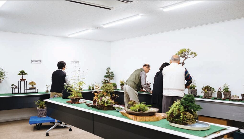 تأثیر اقدامات شهرهای دوستدار سالمند بر افزایش کیفیت زندگی کهنسالان