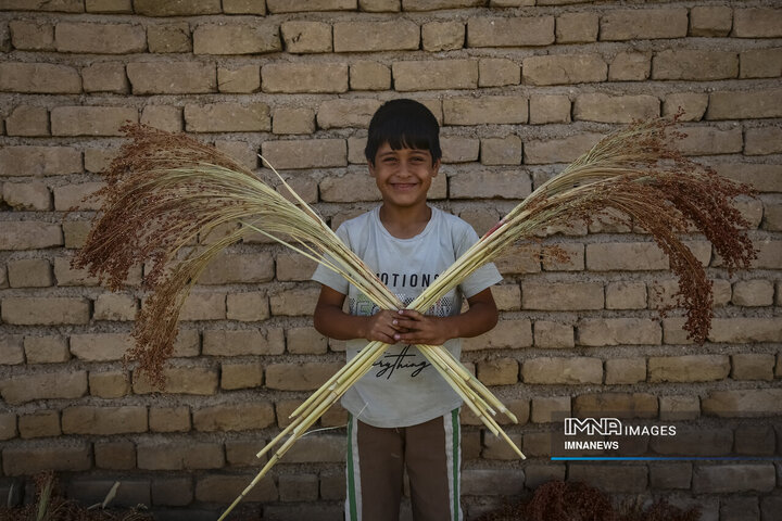 از ارزن تا جارو؛ روایت یک هنر کهن در خراسان شمالی