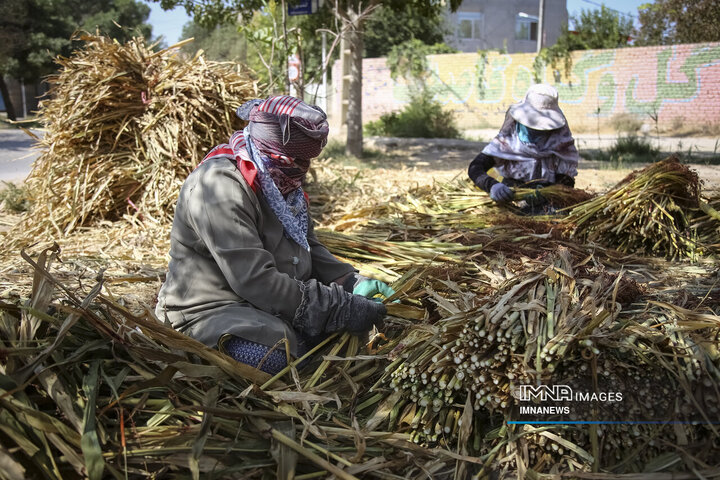 از ارزن تا جارو؛ روایت یک هنر کهن در خراسان شمالی