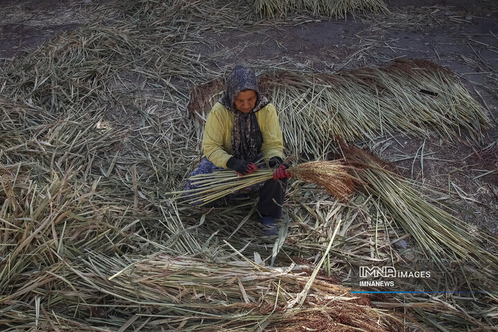 از ارزن تا جارو؛ روایت یک هنر کهن در خراسان شمالی