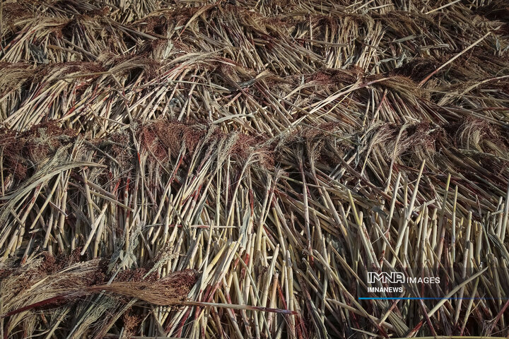 از ارزن تا جارو؛ روایت یک هنر کهن در خراسان شمالی