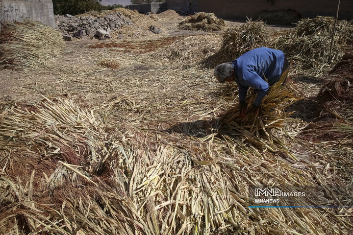 از ارزن تا جارو؛ روایت یک هنر کهن در خراسان شمالی