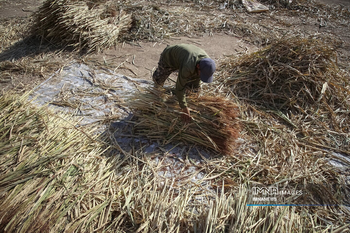 از ارزن تا جارو؛ روایت یک هنر کهن در خراسان شمالی